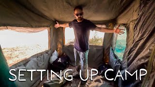 Cheetah hunting and setting up camp in the Kalahari (Rooiputs Ep3)