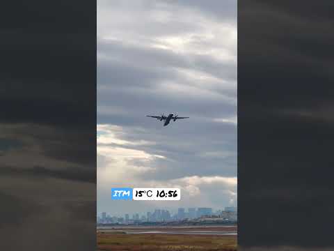 De Havilland Aircraft of Canada ANA Takeoff Osaka International Airport #takeoff #ana #dehavilland