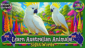 Learn Australian Animals | Fun Song About Aussie Animals | Magic Mini Monsters #magicminimonsters