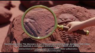Book 4 Fossils and Ancient Life in Satun