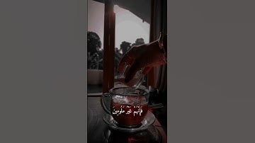 الشيخ ناصر القطامي - سورة المؤمنون #quran #القرآن #القرآن_الكريم #ناصر_القطامي