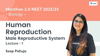Human Reproduction | Male Reproductive System | L1 | NEET 2022/23 | Seep Pahuja