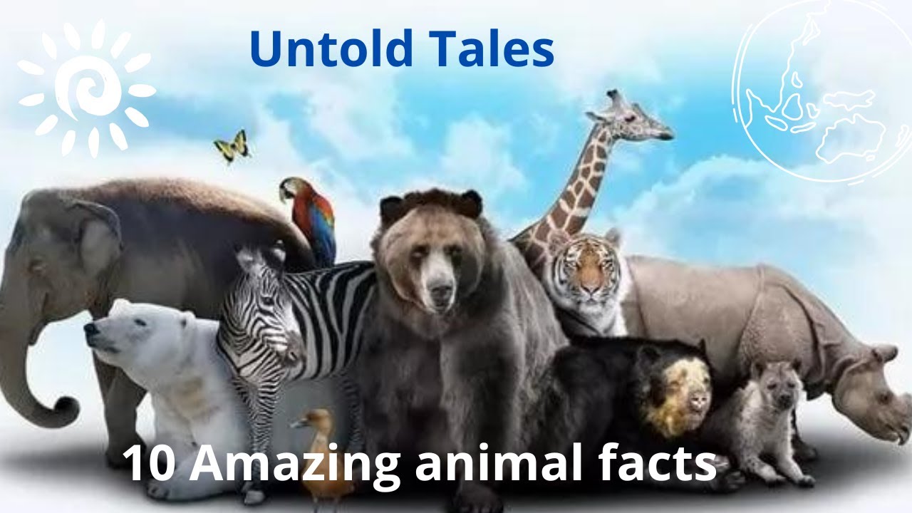 Untold Tales  10 Amazing Animal Facts Revealed