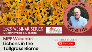 MPF Webinar: Lichens in the Tallgrass Biome