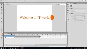 Masking in Adobe Flash | Computer Classes by Dr. Anju Chellani 