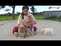 Funny Animals | Cuties Baby LUNA & KAKO Eats Persimmon Fruits