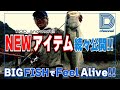 【青木大介 D Channel #041】Feelなロッド? スト＆リク?? 2026年のNEWアイテムでFeel Alive!! in池原ダム