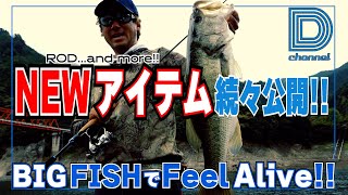 [Daisuke Aoki D Channel #041] A 'Feel' Rod? Striker & Request?? Feel Alive with 2026's New Items!...
