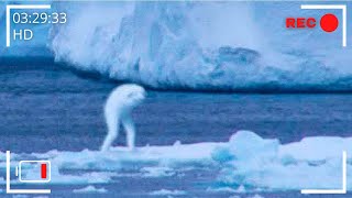 10 Amazing Newly Discovered Species