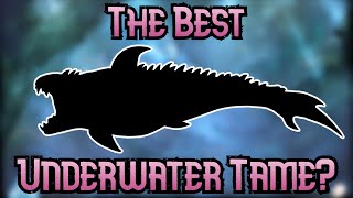 The Top 10 Best Underwater Tames!