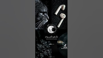 سورة النبأ ج1 بصوت القارئ عبد الرحمن مسعد
