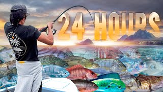24 Hours to Catch Clean Cook EVERY Fish 10 Species Eaten - Puerto Vallarta