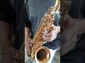 Vídeo Teste Sax Alto Weril Spectra 2