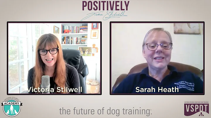 Ouch! How pain affects behaviour (with Sarah Heath)