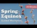 Spring Equinox ~ 20-Minute Guided Meditation ~ Reflect, Release, and Rise