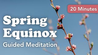 Spring Equinox ~ 20-Minute Guided Meditation ~ Reflect, Release, and Rise