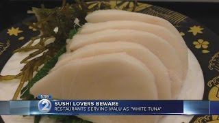 Beware sushi menus that offer 'white tuna' or 'white maguro'