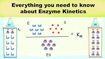 Enzyme kinetics in detail