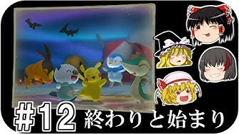 ポケパーク2 Youtube ポケパーク2 Youtube