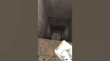 zorre vs 11 - shorts