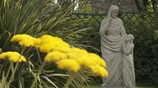 Le Sanctuaire de Sainte-Anne d'Auray