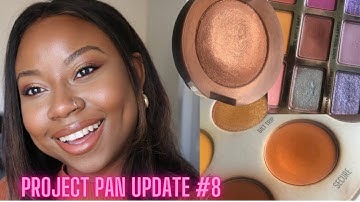 PROJECT PAN UPDATE #8 🍂 #projectpan2021