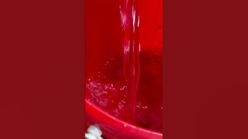 Bắt con cá vàng, cá chép , cá koi , con tôm , con cua , con ếch ￼