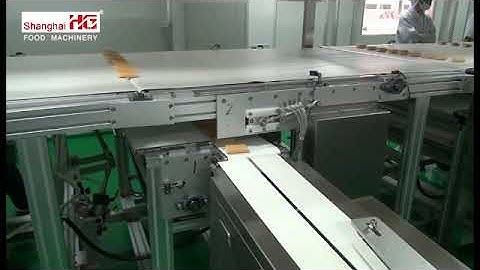 07 2 Shanghai HG New Swiss roll production line packing system  video