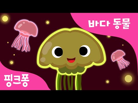 해파리 | 반짝 반짝 해파리 | 바다 동물 | 동물동요 | 핑크퐁! 인기동요