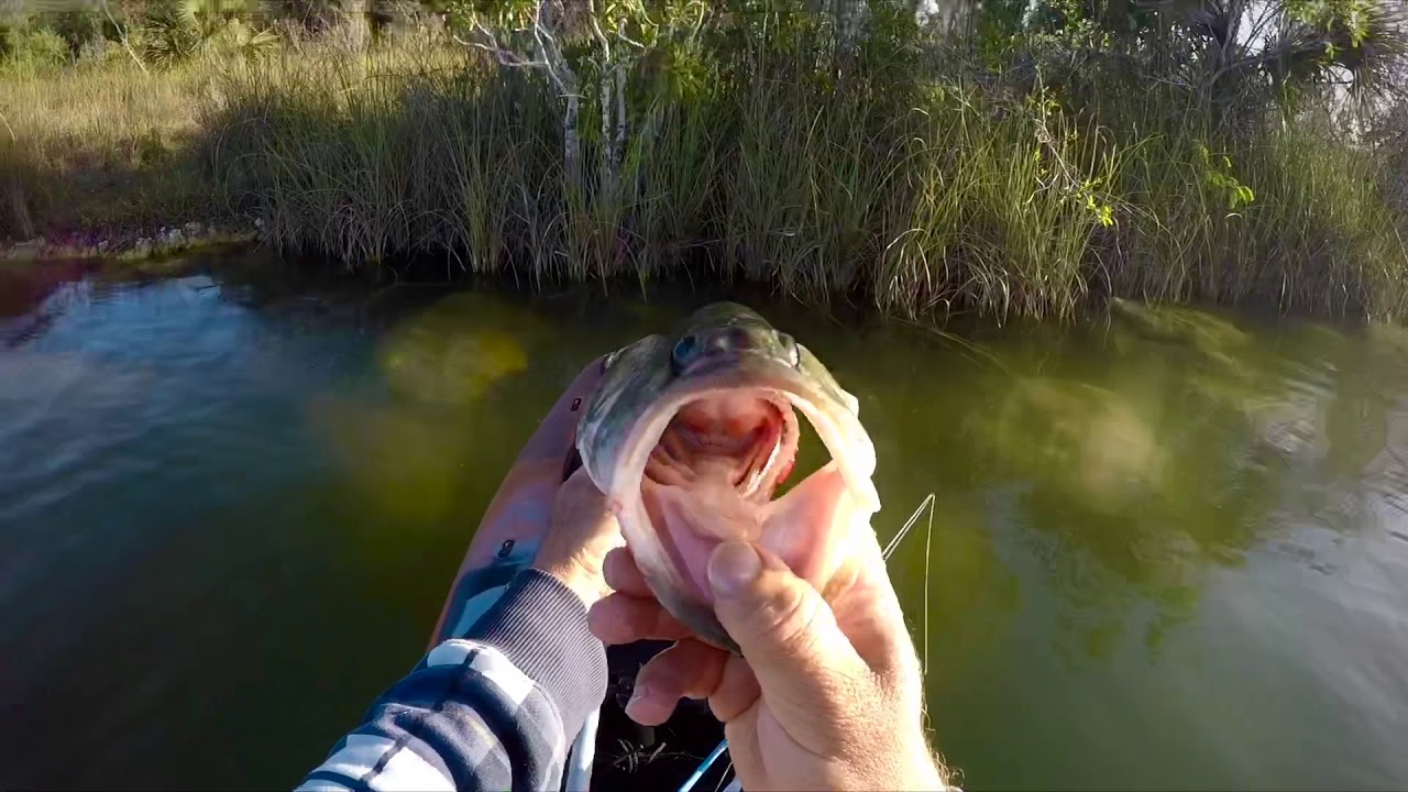 Kayak Fishing Everglades National Park YouTube