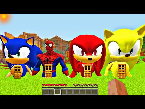Vidéo: Est-ce que Sonic a des bétons ?