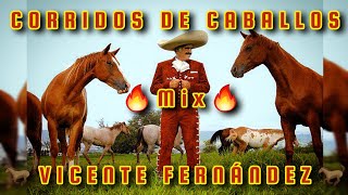 🔥MIX VICENTE FERNANDEZ🔥 CORRIDOS DE CABALLOS 🏇 🐎 🐴 screenshot 3