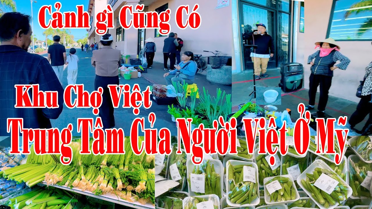 CẢNH GÌ CŨNG CÓ Ở Khu Chợ ABC | Trung Tâm Của Người Việt Trên Đất Mỹ | Giá Các Loại Rau .