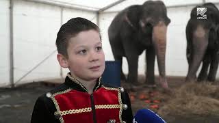 Слоны на арене! Цирк братьев Гертнер радует зрителей чудесами дрессуры