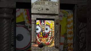 #jagannath #shorts #viral #video #puri #jagannath #reels #love #jagannath #puri