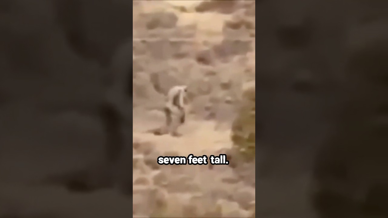 Top 5 Creepy Humanoid Sightings