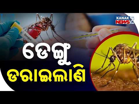 ଡେଙ୍ଗୁ ଡରାଇଲାଣି! || Dengue Alert Odisha | Cases Rise as Dengue Starts Raising Concern