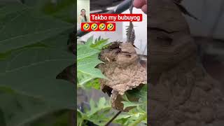 There is a bee running around #ytshorts  #funny #viral #trending #shortvideo
