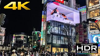 🐈 Super Realistic 3D Giant Cat On A Billboard In Shinjuku, Tokyo 🇯🇵