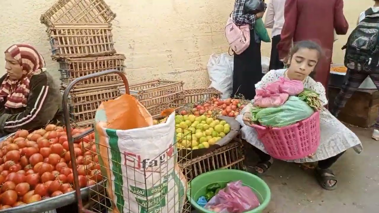 مقترحات لخفض أسعار الخضروات في مصر