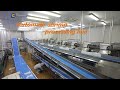 Perfect automatic shrimp processing line. Thaw, convey, distribute, shrimp peel, devein, back split.