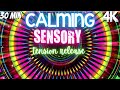 Autism Calming Sensory Music Healing Tension Release Colored Tunnel