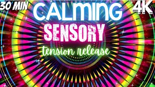 Autism Calming Sensory Music Healing Tension Release Colored Tunnel