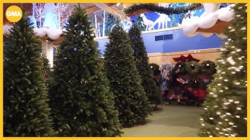 Should you get an artificial or real Christmas tree this year?
