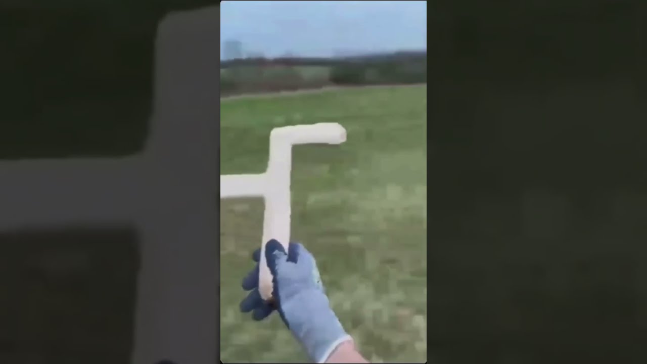 I Thought It Was Just A Boomerang Funnymemes Germany Memes Funny Fyp Viral 