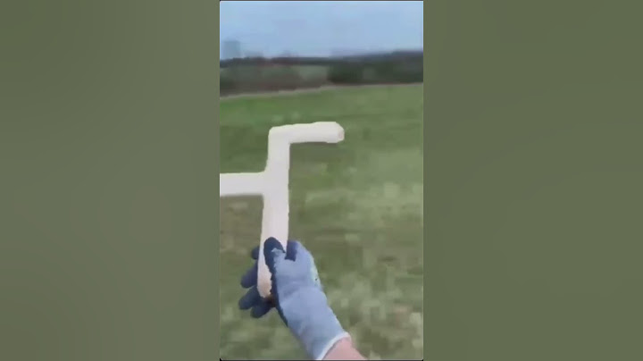 I thought it was just a boomerang 😭 #funnymemes #germany #memes #funny #fyp #viral￼