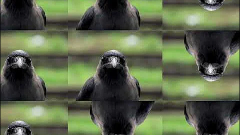 BIAST ost: judgement day extended