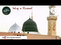 Ishq e rasool ep1   syed shahid askari ashrafi  bharuch bayan shorts