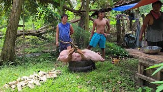 ⚠️Warning⚠️Graphic⚠️ SLAUGHTERING PIG for FIESTA | Albur Bohol | Province Life Philippines 🇵🇭 |
