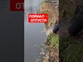 #youtubeshorts #youtuber #fishing #рекомендации #рек #врек #врекомендации